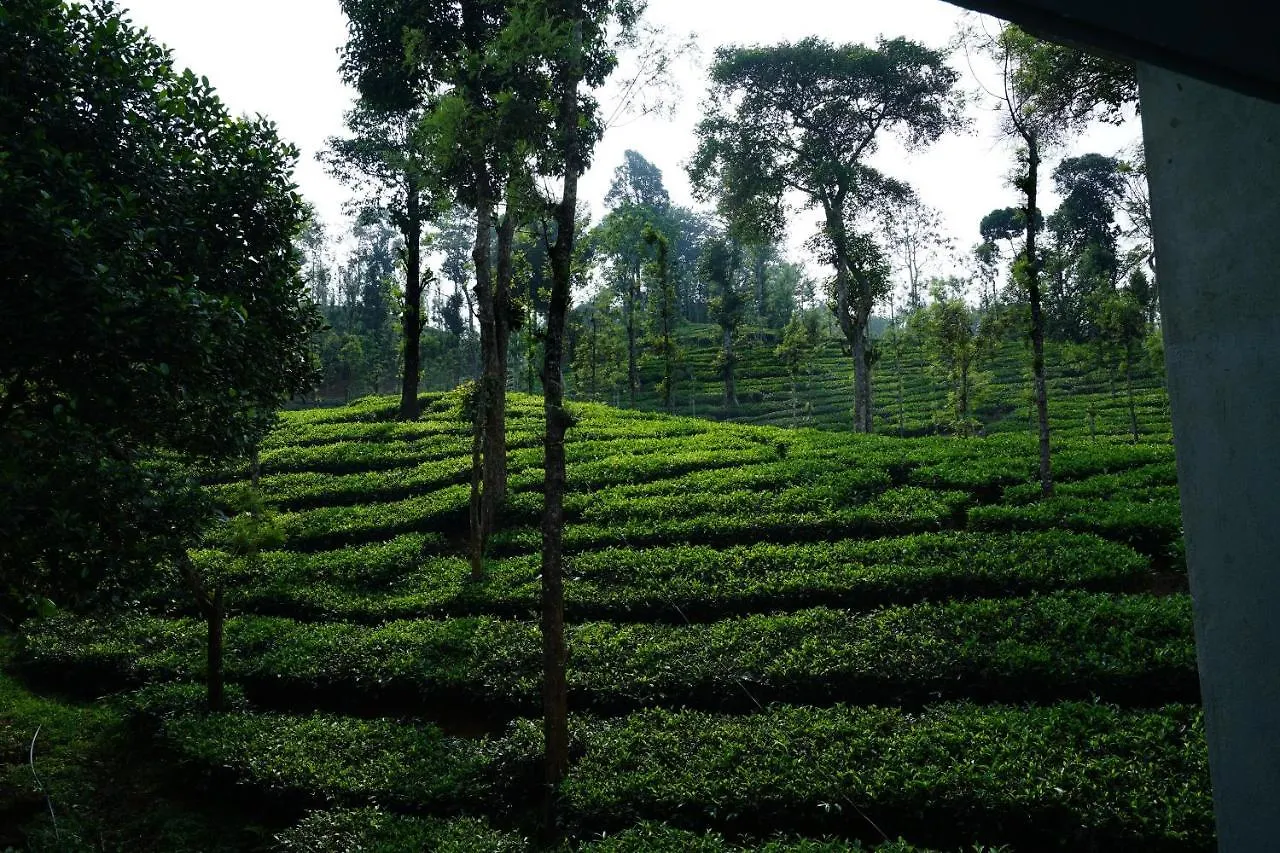 Oyo 5024 Mist Heaven Hill Resort Tindummal