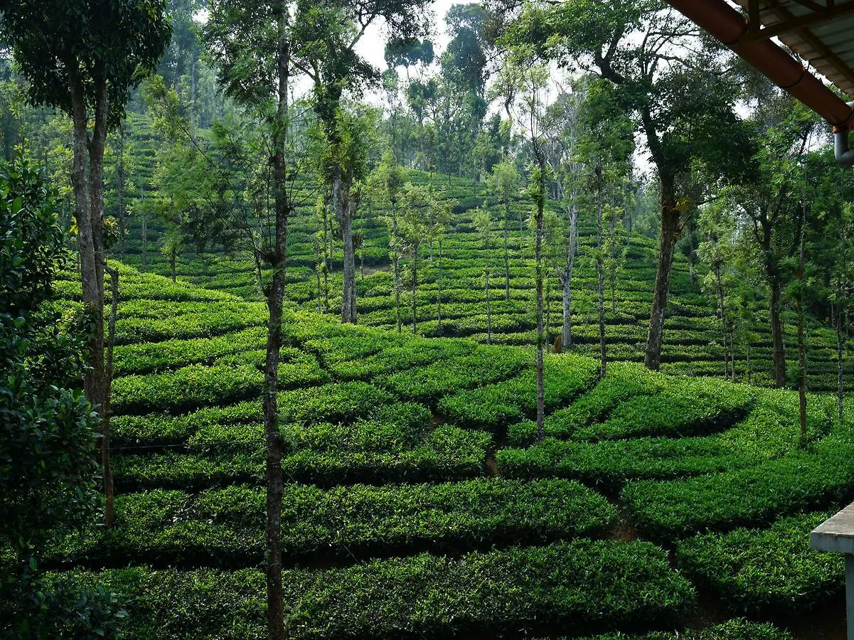 Oyo 5024 Mist Heaven Hill Resort Tindummal